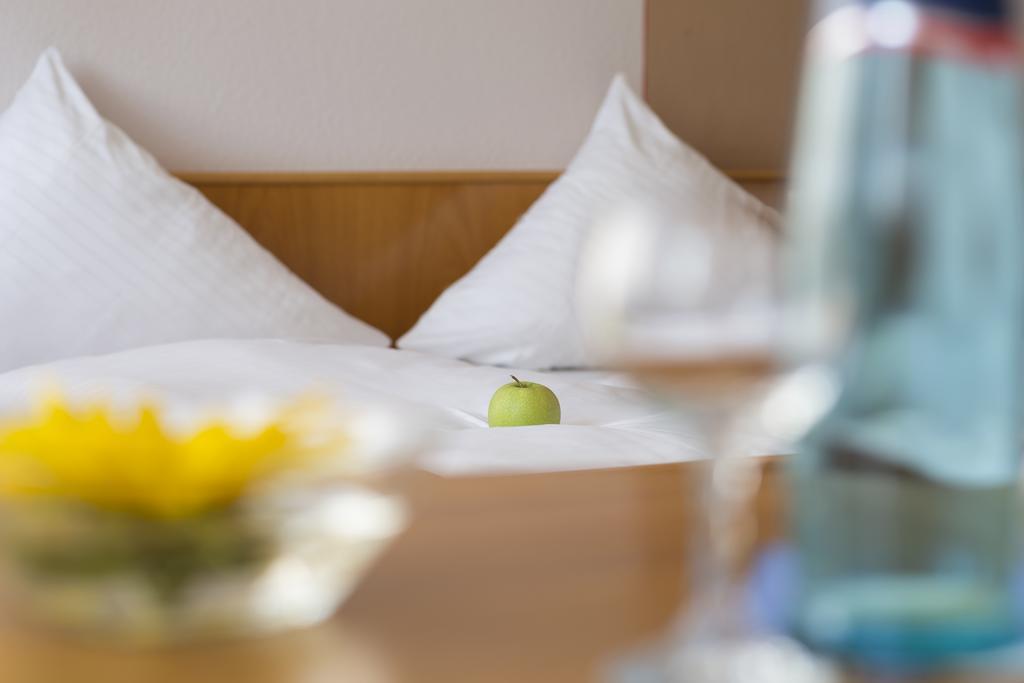 Hotel Gasthof Sonne Fridingen an der Donau Екстер'єр фото